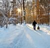 Dėl slidžių kelių mokiniai gali nevykti į mokyklas