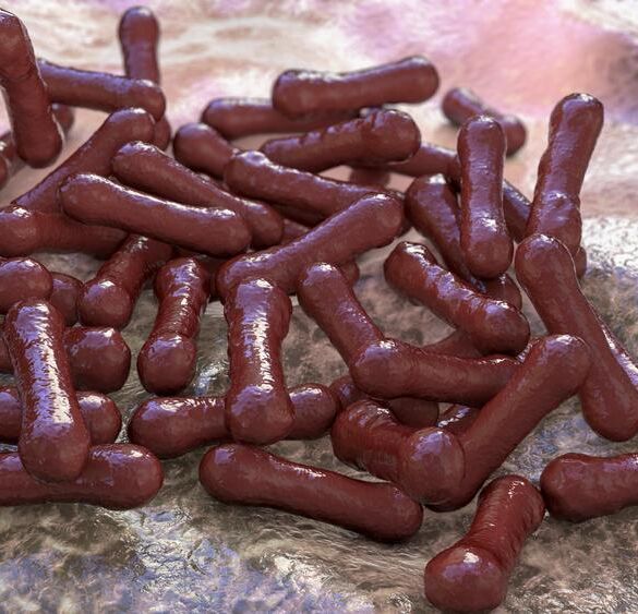 Difterija: nuo žąsies plunksnos iki serumo ir skiepų