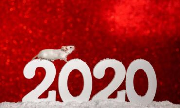 Egidijaus Gubino horoskopas 2020 metams