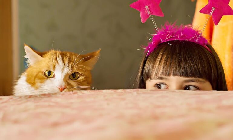 Felinoterapija – terapeutais gali tapti ir katės