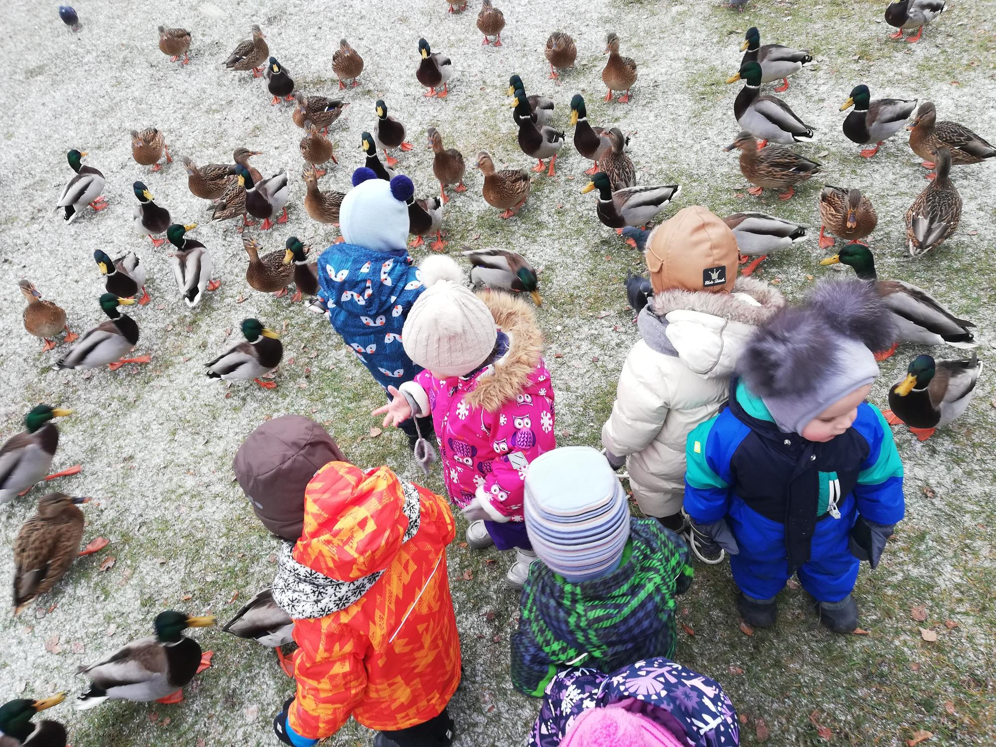 Ką veikti su vaikais lauke šaltuoju metų laiku: pataria pedagogės