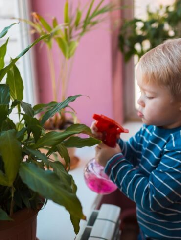 Nematomas pavojus vaikams: 5 labai populiarūs ir nuodingi kambariniai augalai