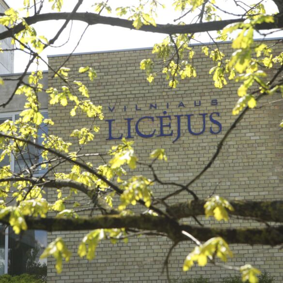 Paskelbti mokyklų ir universitetų reitingai: geriausiųjų pozicijas išlaikė Vilniaus ir Klaipėdos licėjai bei Vilniaus universitetas