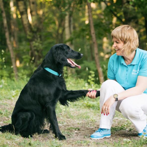 Sunkumų patiriantys vaikai Vilniuje kviečiami į skaitymo su šunimi seansus