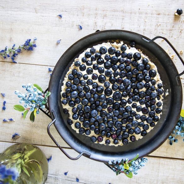 Veganiška tarta su anakardžių kremu