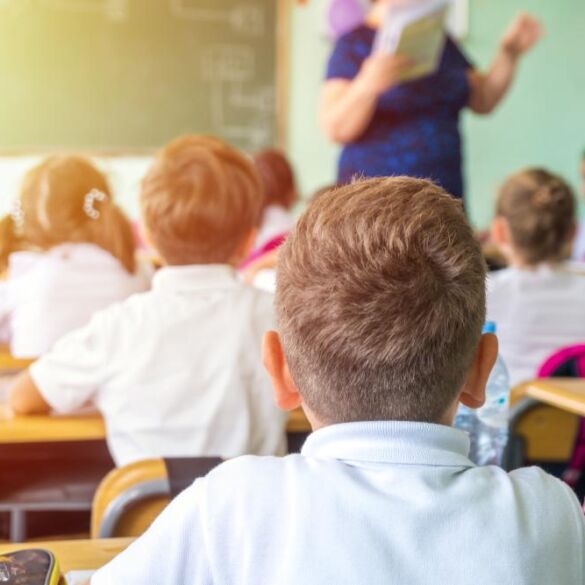 VU profesorius: mokytojo profesija nėra patraukli