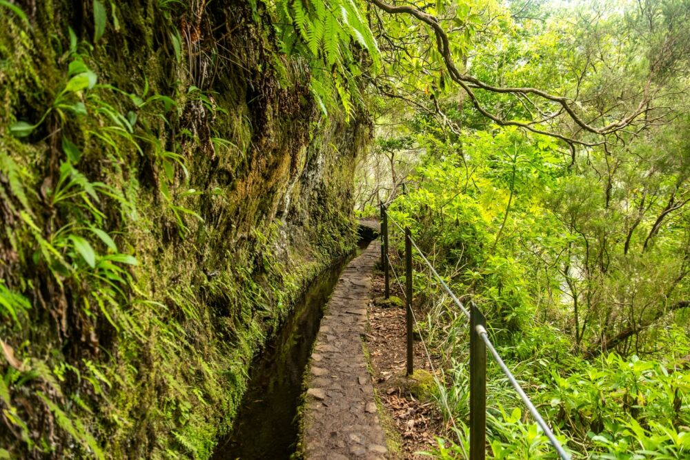 Madeira