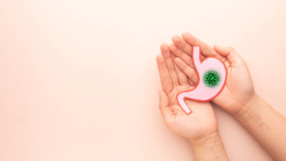 Pylori bakterija / Shutterstock nuotr.