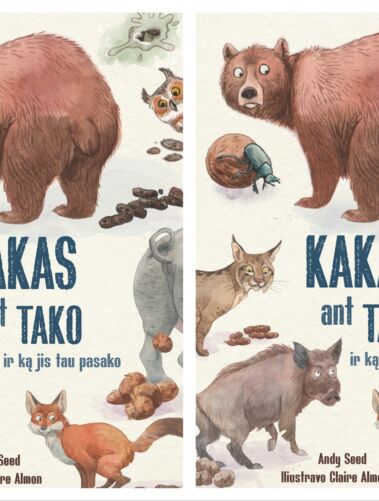 Kakas ant tako