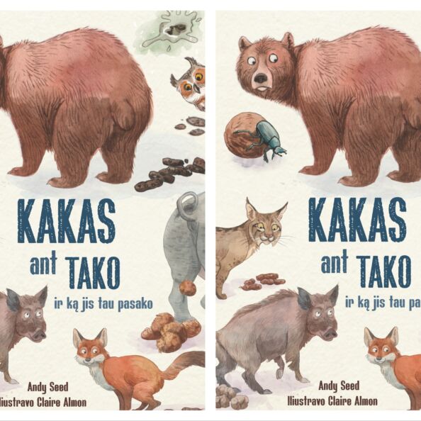 Kakas ant tako