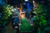 Jungle Monkeyz Adventure Golf