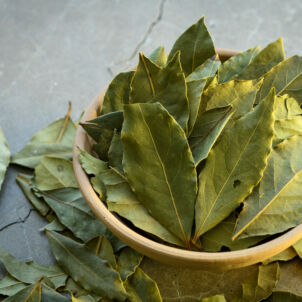 Lauro lapai / Shutterstock