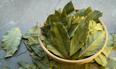 Lauro lapai / Shutterstock