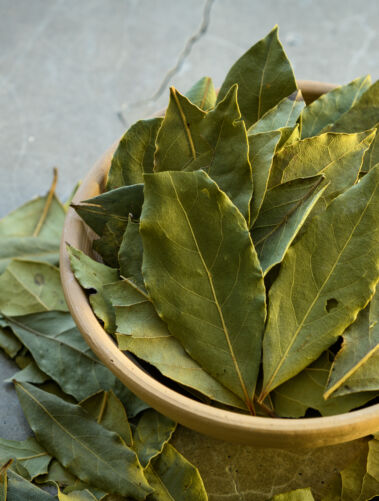 Lauro lapai / Shutterstock