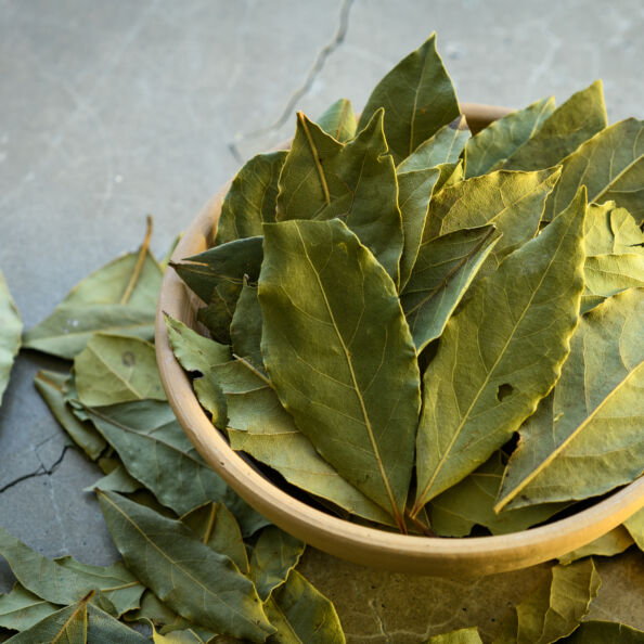 Lauro lapai / Shutterstock