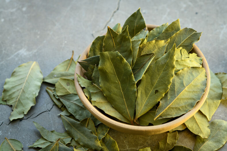 Lauro lapai / Shutterstock