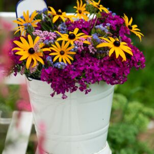 Rudeninės gėlės / Shutterstock