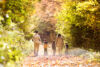 Laikas su šeima / Shutterstock