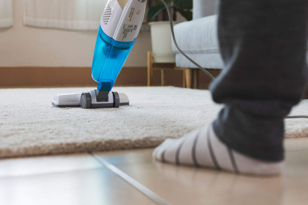 Ką darė mūsų seneliai, kad namuose būtų šilta net be šildymo? Išbandykite!